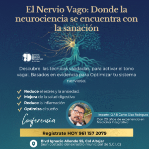 El Nervio Vago: Donde la neurociencia se encuentra con la sanación